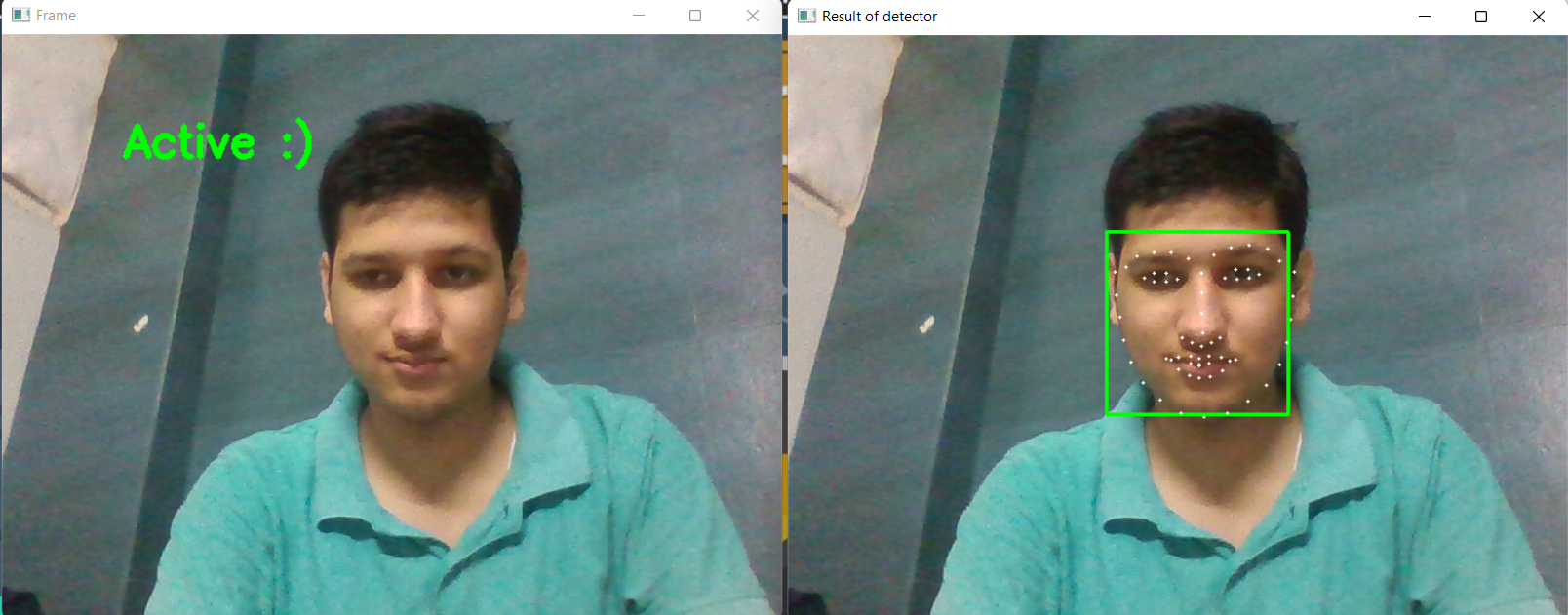 GitHub - Lakshya-is-here/Driver-Drowsiness-Detection: Preventing ...