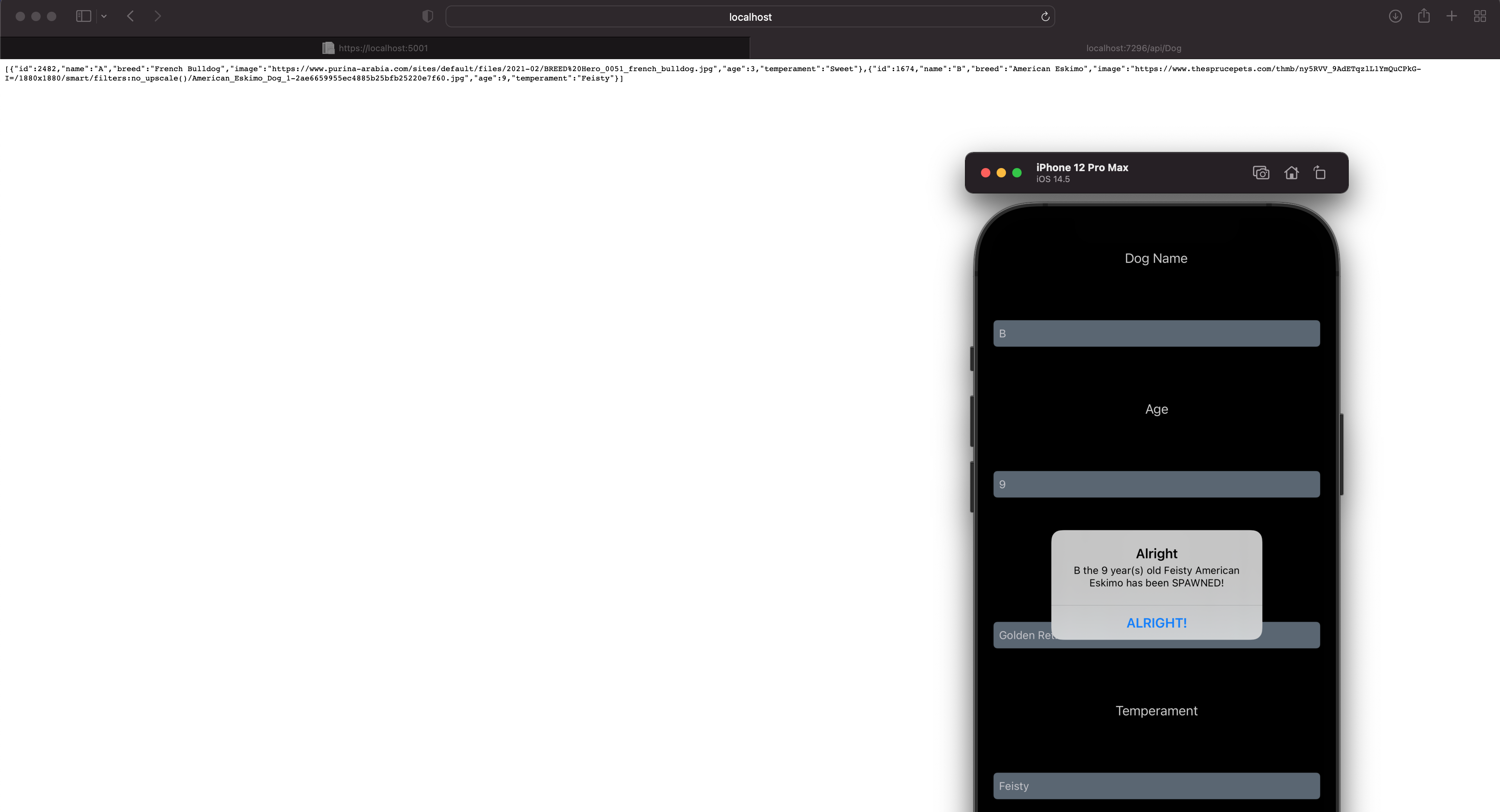 GitHub - theolliebbb/DogsApp: Backend for Dogs App