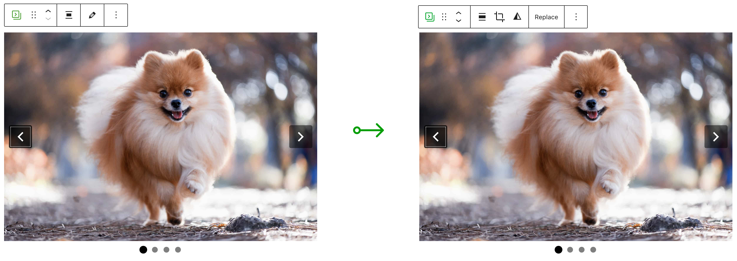 Slideshow functionality