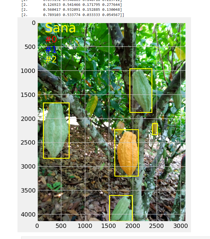 GitHub - Anokyeken/cocoa-diseases-detection