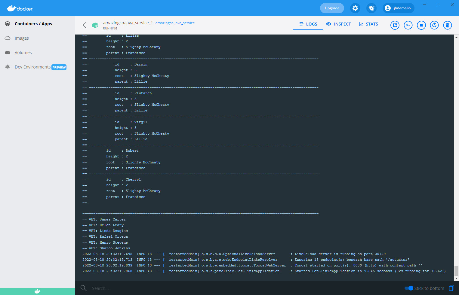 GitHub - jhdemello/AmazingCo-Java: This repository contains a simple ...
