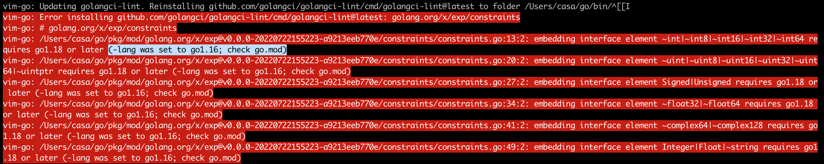 GoUpdateBinaries failed to update golangci-lint · Issue #3446 · fatih ...