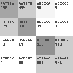 kmer_table