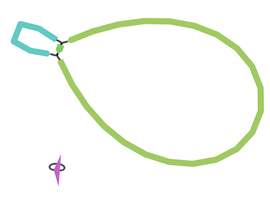 correcting multiplicity in 001_best_spades_graph.gfa does not improve