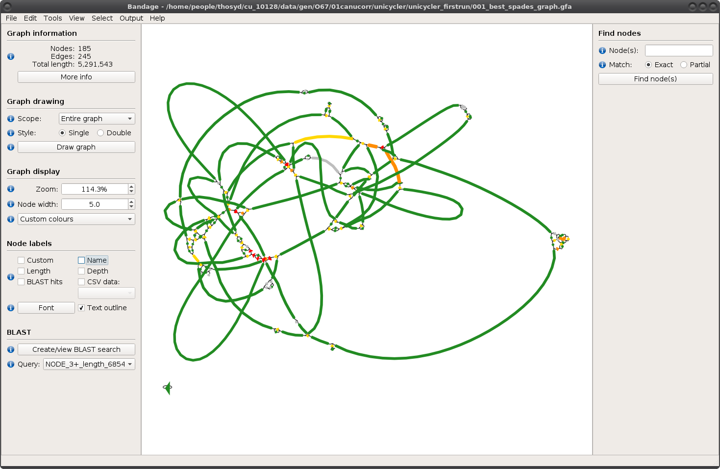 correcting multiplicity in 001_best_spades_graph.gfa does not improve