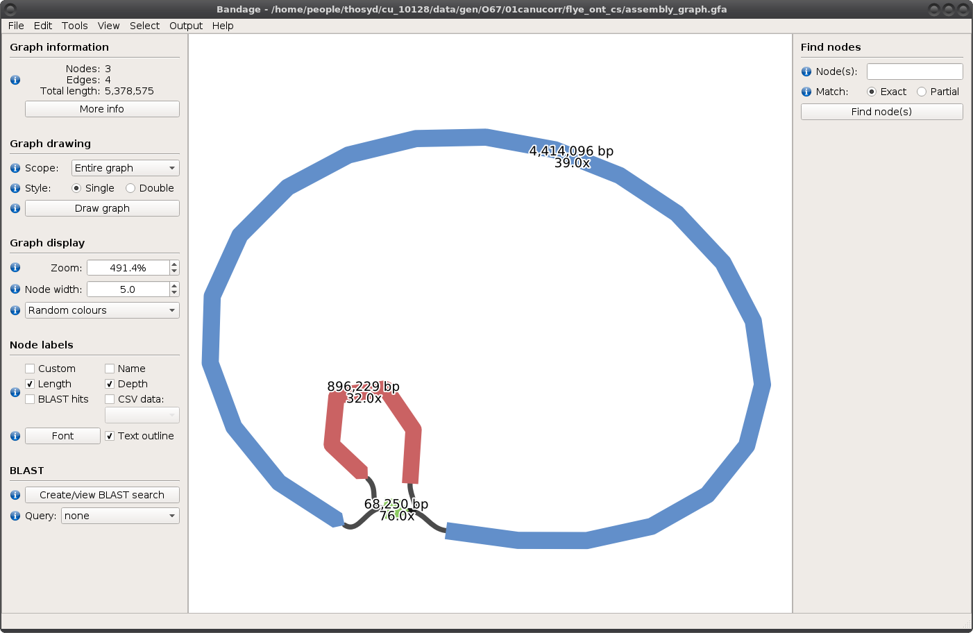 correcting multiplicity in 001_best_spades_graph.gfa does not improve