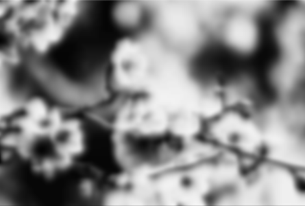 GitHub - WiPhi161/Pygame-Bloom: A really simple implementation of the ...