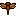 atprk_amberinsect2
