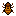 atprk_amberinsect3