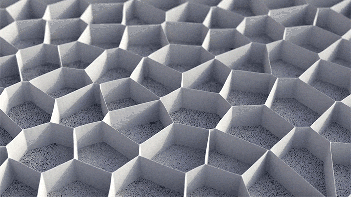 growmaze