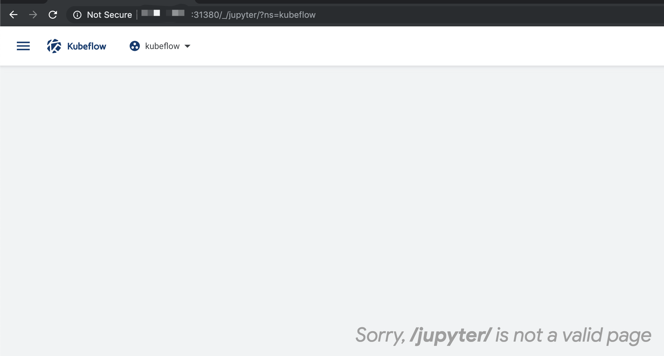 [0.6.1] Kubeflow UI Error · Issue #3784 · kubeflow/kubeflow · GitHub