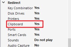 Unable to copy & paste from Local drive to a server connected thru ...