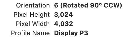 Screen Shot 2021-04-28 at 3 16 26 PM