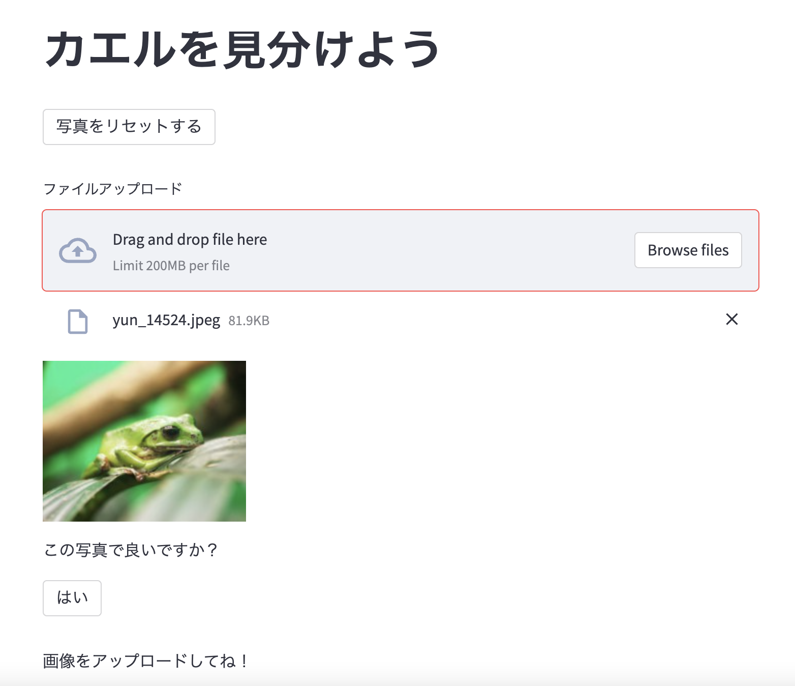 Github Rininmmmment Identifyfrogs