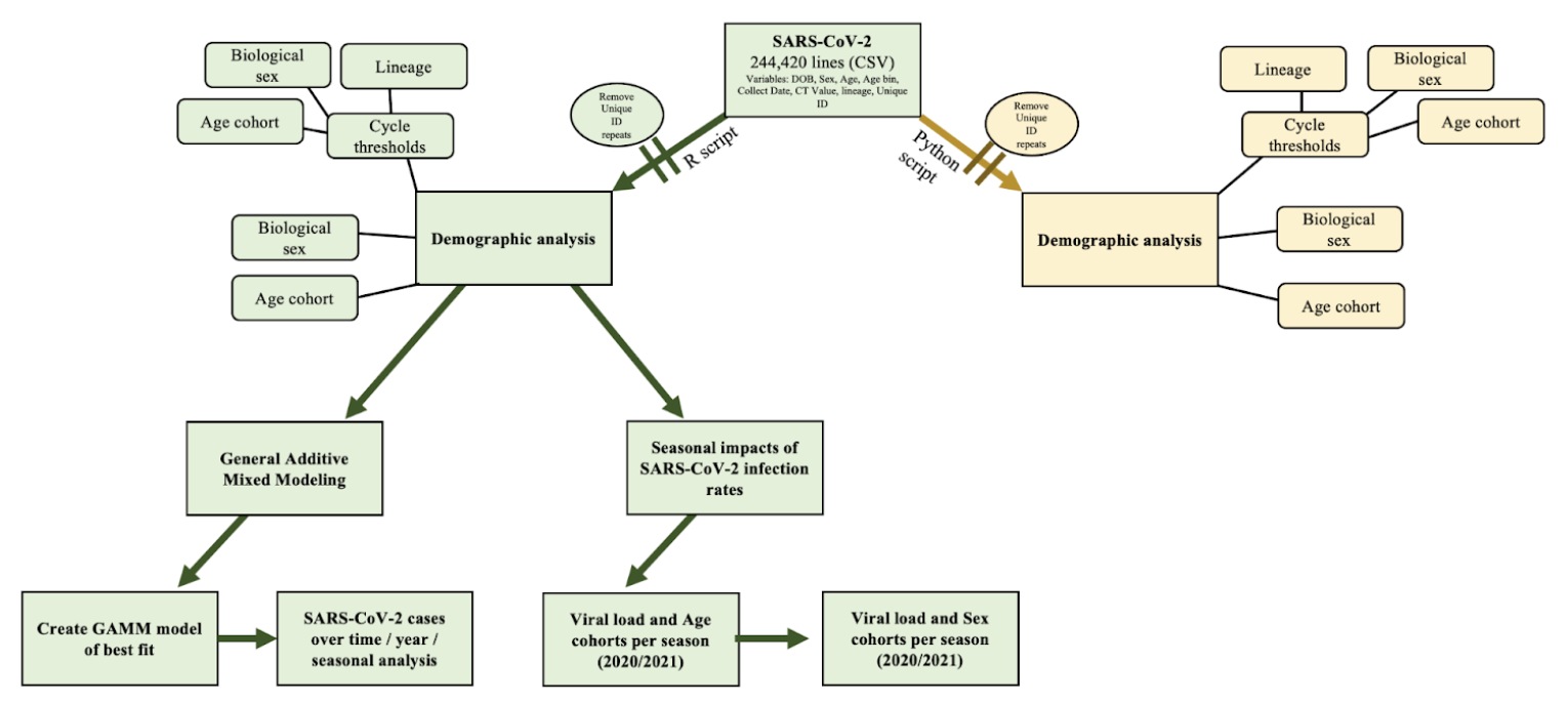 GitHub - andrewqle/BIOL812-Final-Assignment