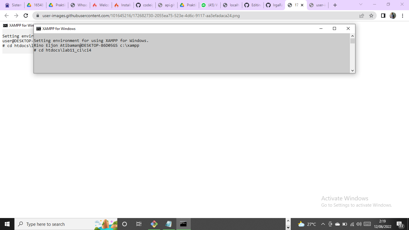 GitHub - rinoatibaman/lab11web