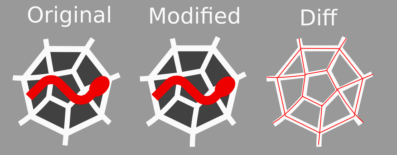 spyder_symetrical_web