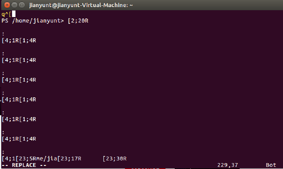 Screen buffer seems busted after starting a new process on Linux