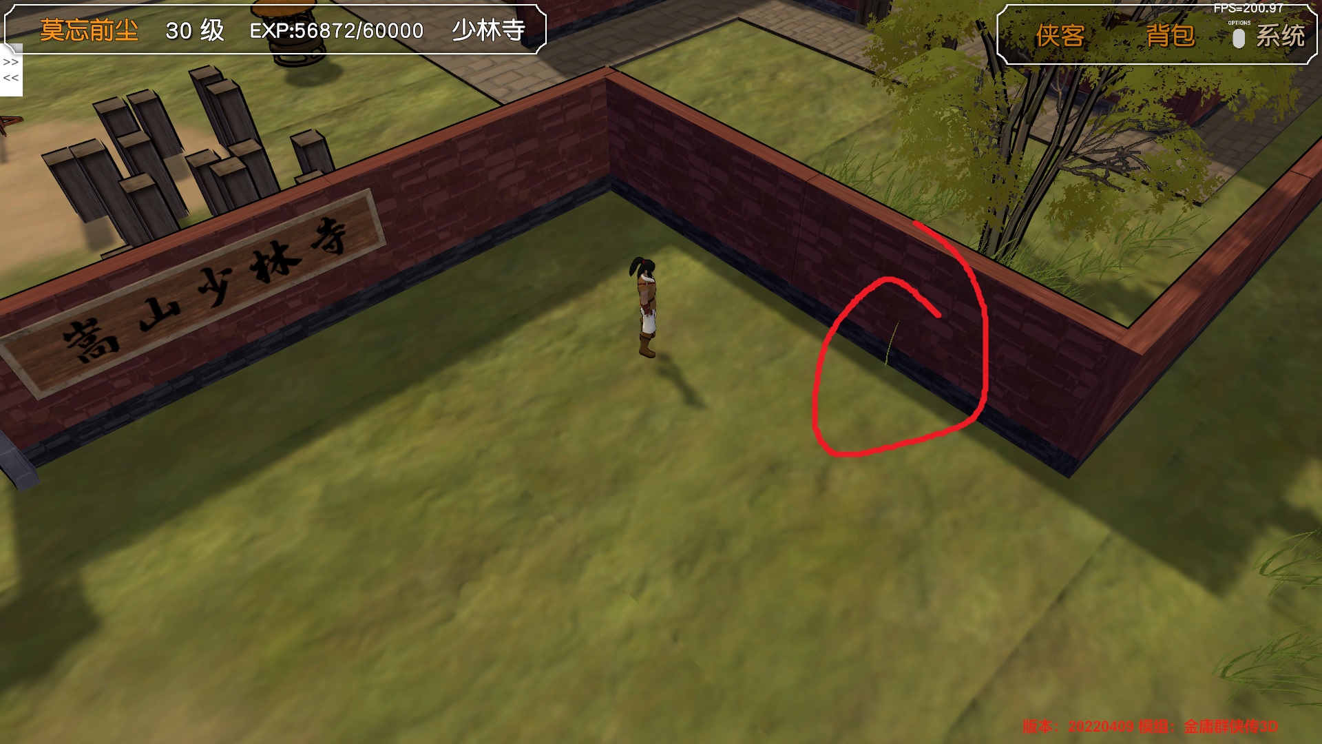 少林寺外墙一颗小草穿模