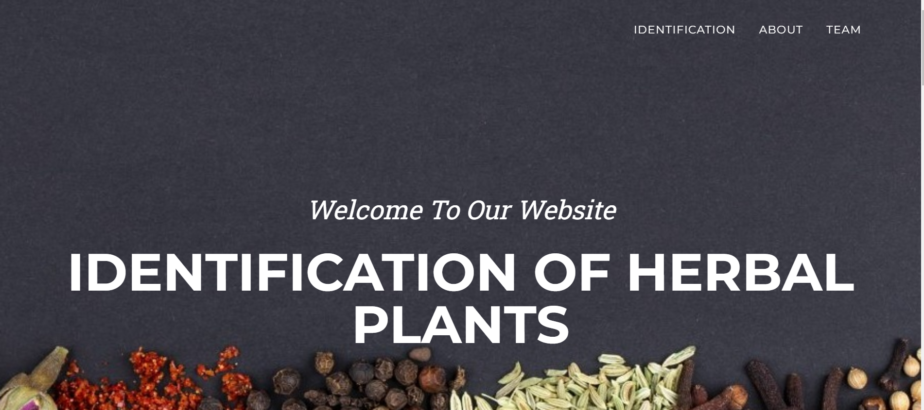 GitHub rismamaulida/IdentificationHerbalPlants The application