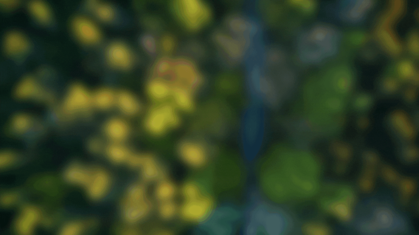 RAPTOR PLANTING EVENT