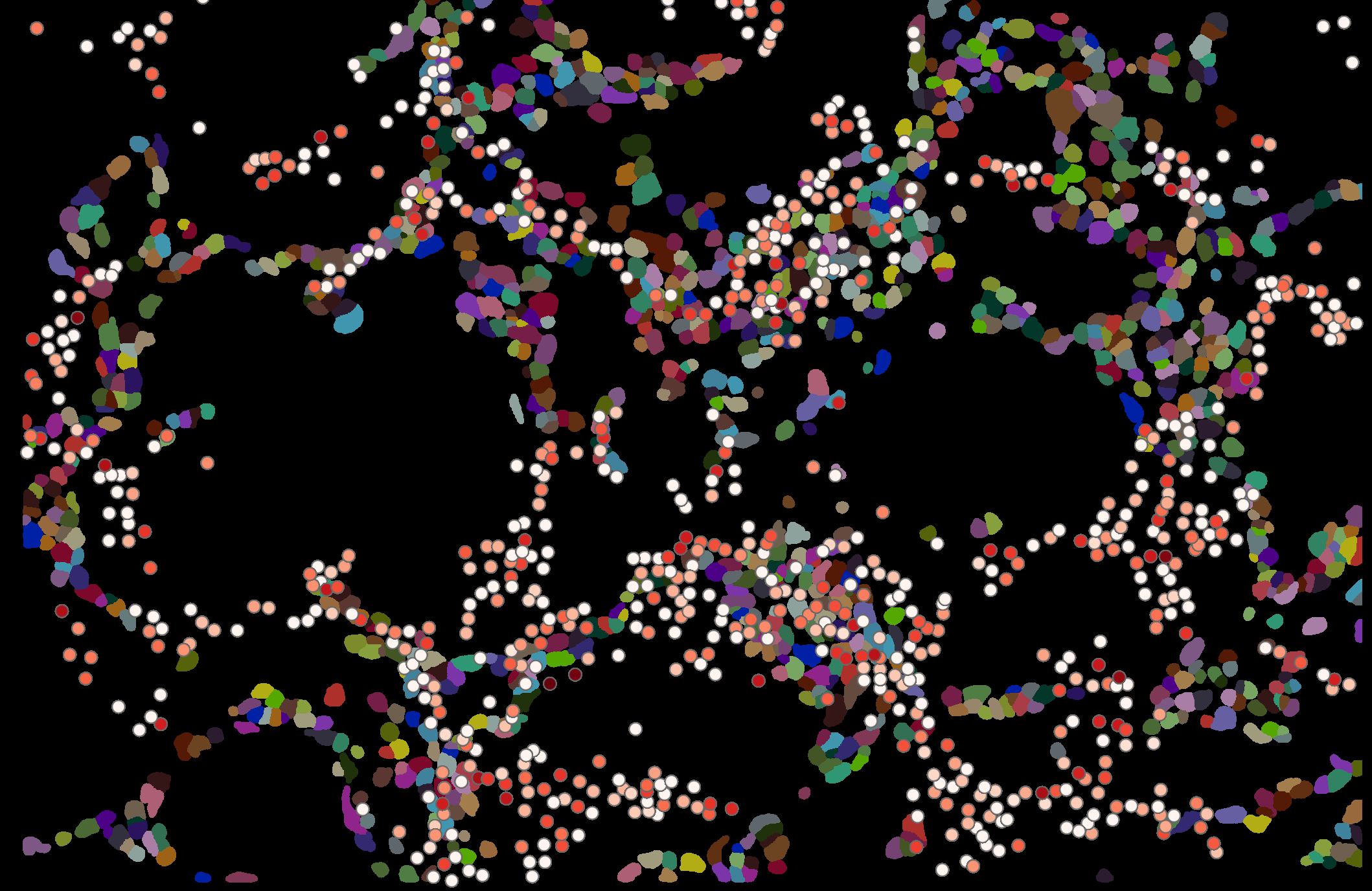 Screenshot 2023-03-09 at 9 52 59 AM