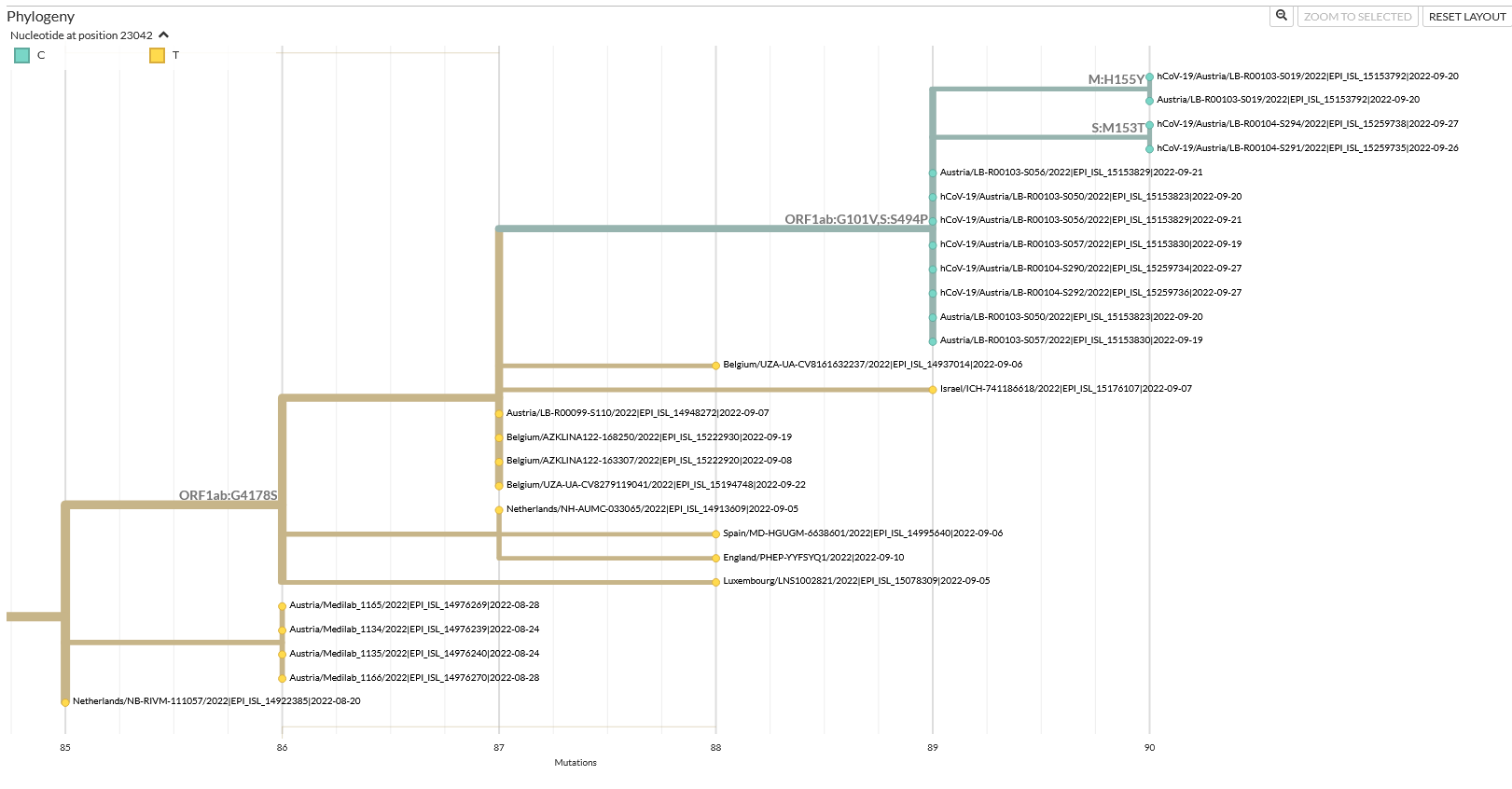 BY.1 sublineage with S:S494P, ORF1a:G101V (8 seq., Austria) · Issue ...
