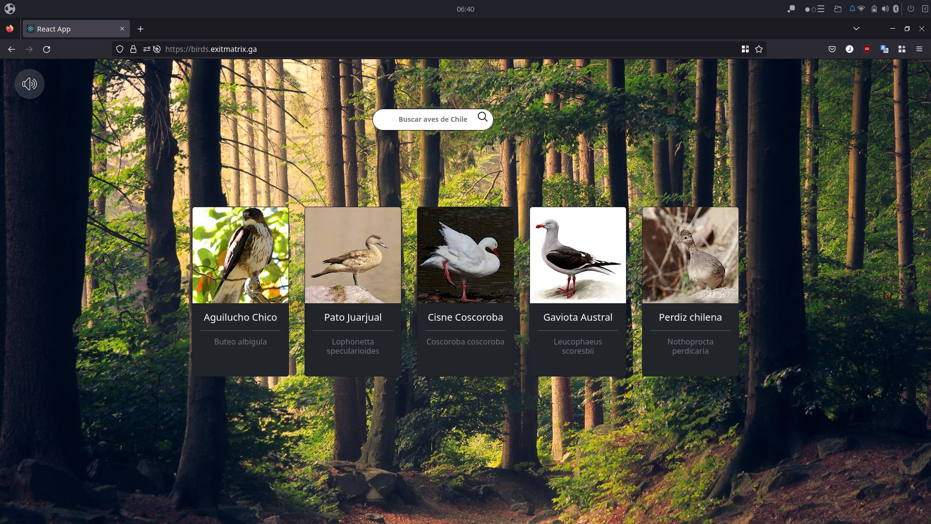 Bird In Javascript GitHub - Jesus-Medina/React-Birds-Api