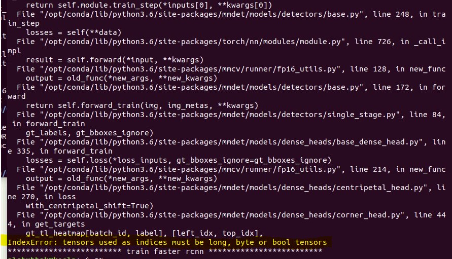 error during training my custom dataset on centriapetalNet/tensors must ...