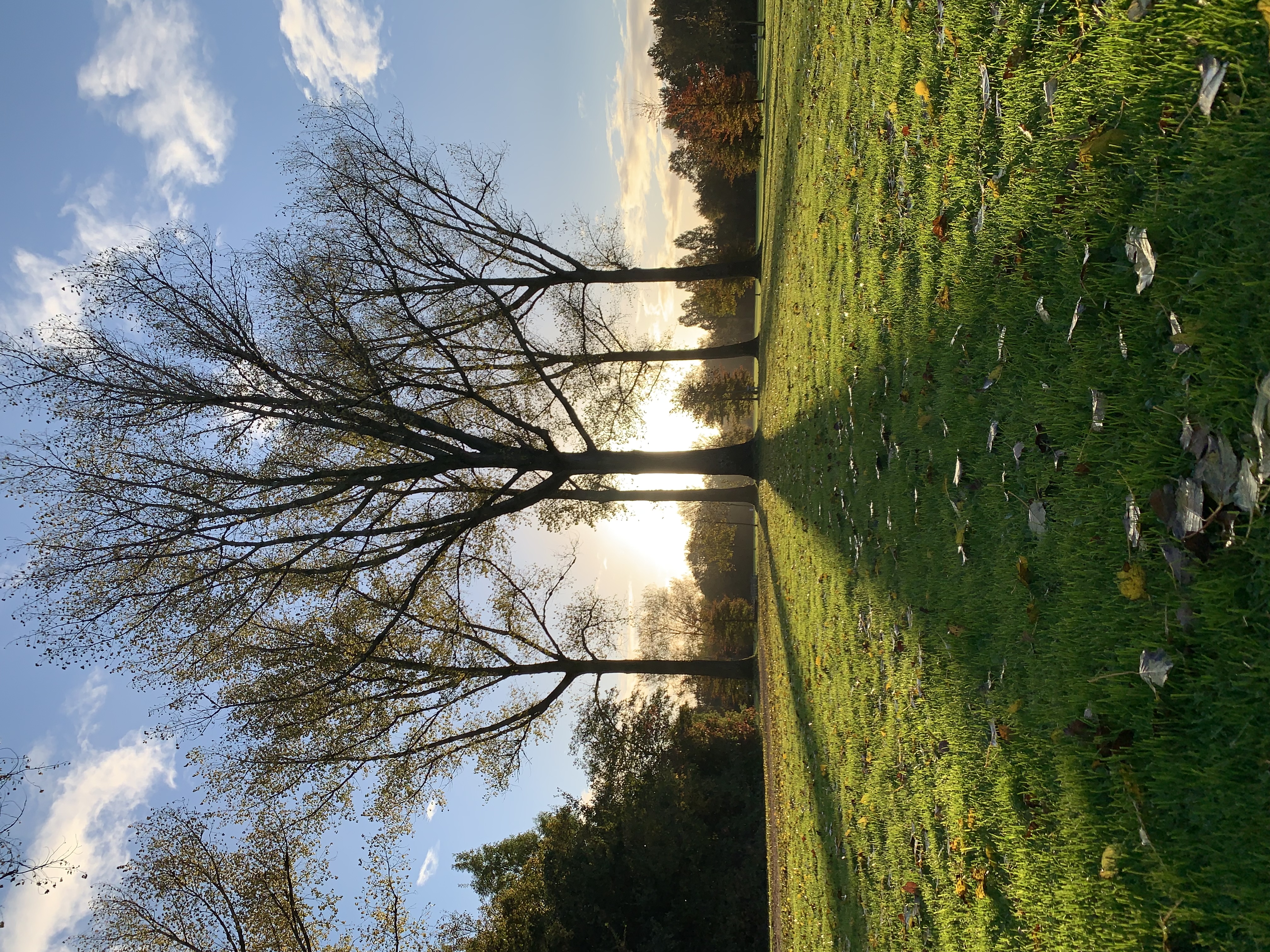 2222a1fb_5d07_4568_bc28_52c85e519609