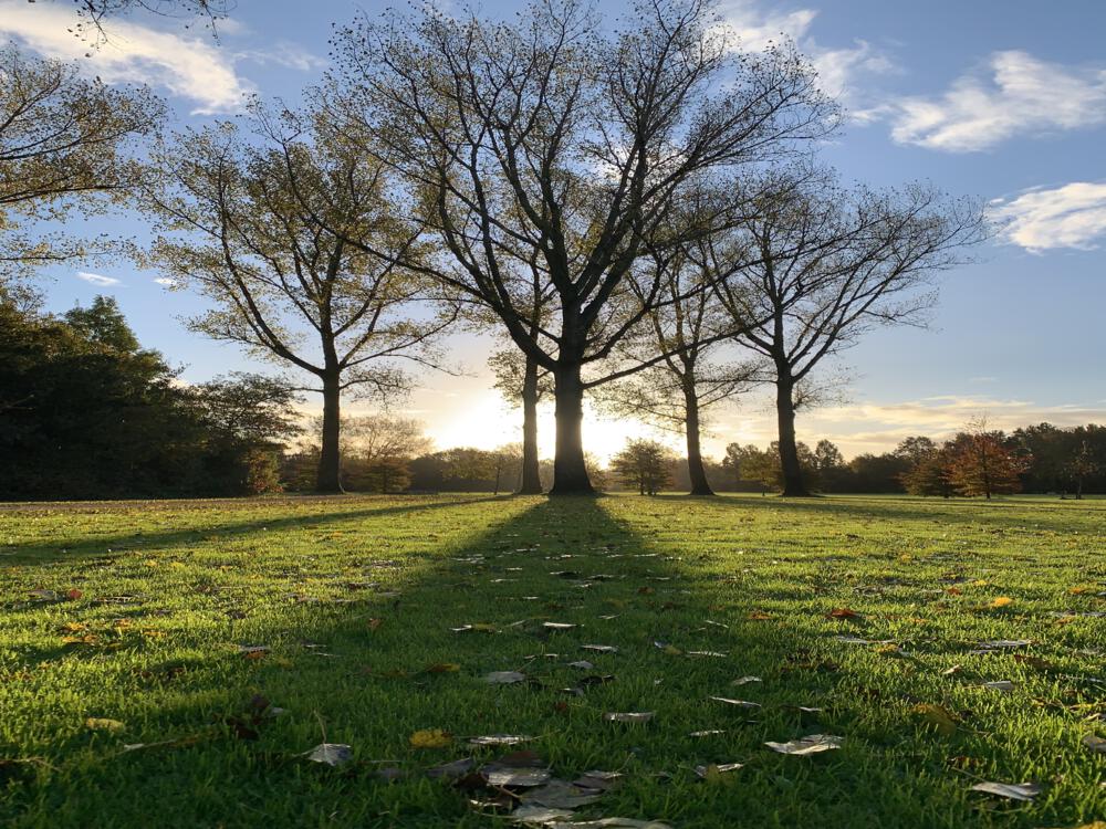 2222a1fb_5d07_4568_bc28_52c85e519609-781868595 jpg(mediaclass-admin-media 0f32931a1bec98e31996c4d06a03dbdc8c7ce6d7)