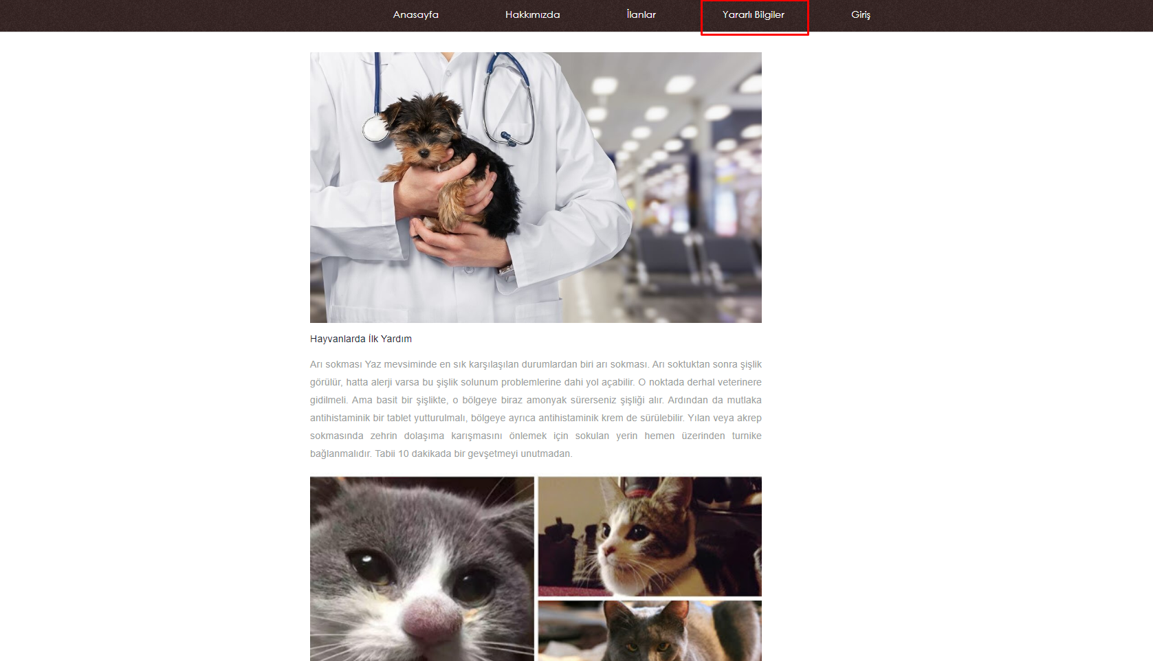 GitHub - akkoyunseda/Pet-Me-Web: A web site for lost pets, pet ...
