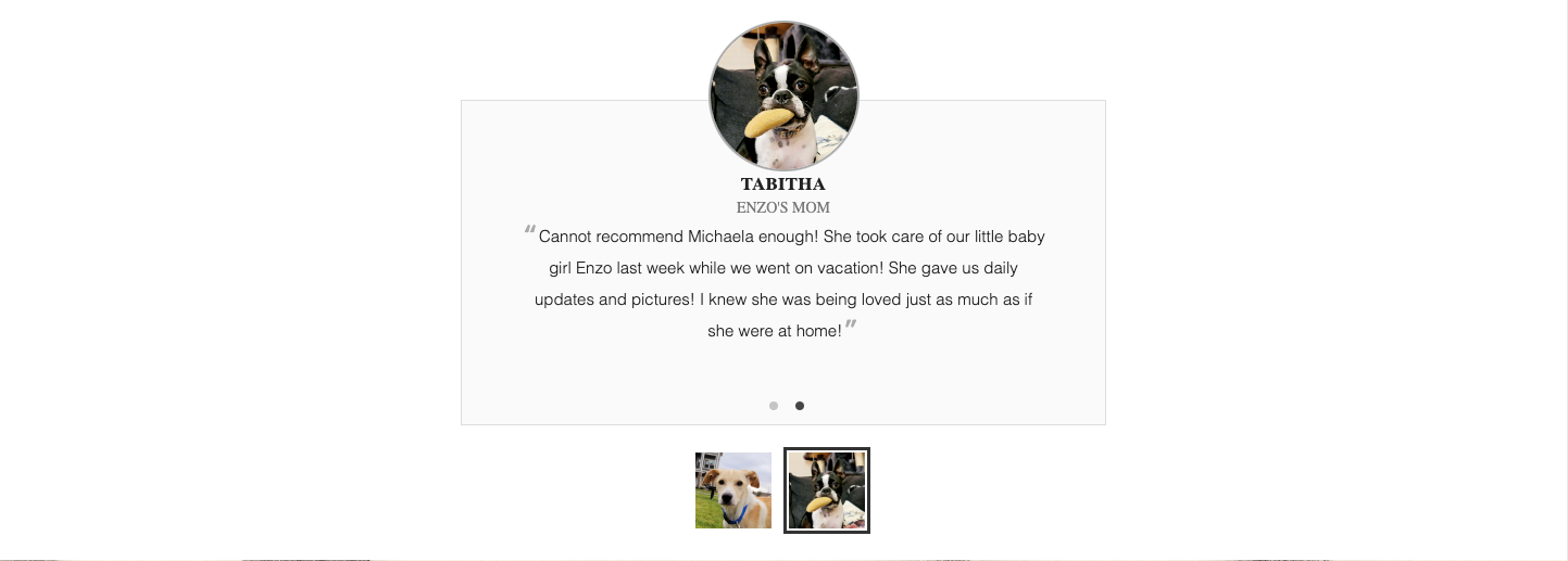 GitHub - kemp3673/WagsAndWalkies: Dog Walking Website