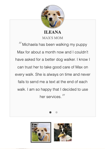 GitHub - kemp3673/WagsAndWalkies: Dog Walking Website
