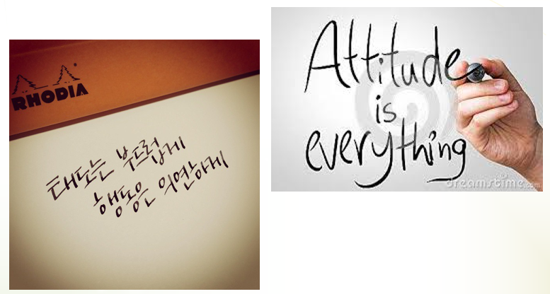 부드러운 태도 의연한 행동