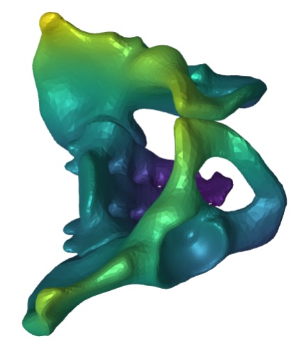 GitHub - RaphaelBouffault/Geometry-Project