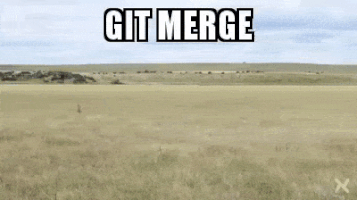 git-merge-cfkifmdg3ifoi