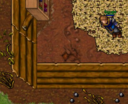 Problem with sprites from Tibia 8.60. · Issue #363 · opentibiabr ...