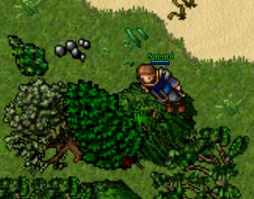 Problem with sprites from Tibia 8.60. · Issue #363 · opentibiabr ...