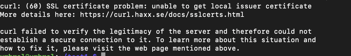 Curl doesn't work · Issue #45 · getumbrel/umbrel-os · GitHub