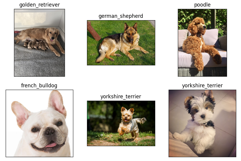 GitHub - Vinayakmane47/DogbreedImageClassification