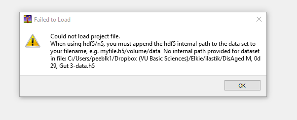 Can't load project · Issue #2565 · ilastik/ilastik · GitHub