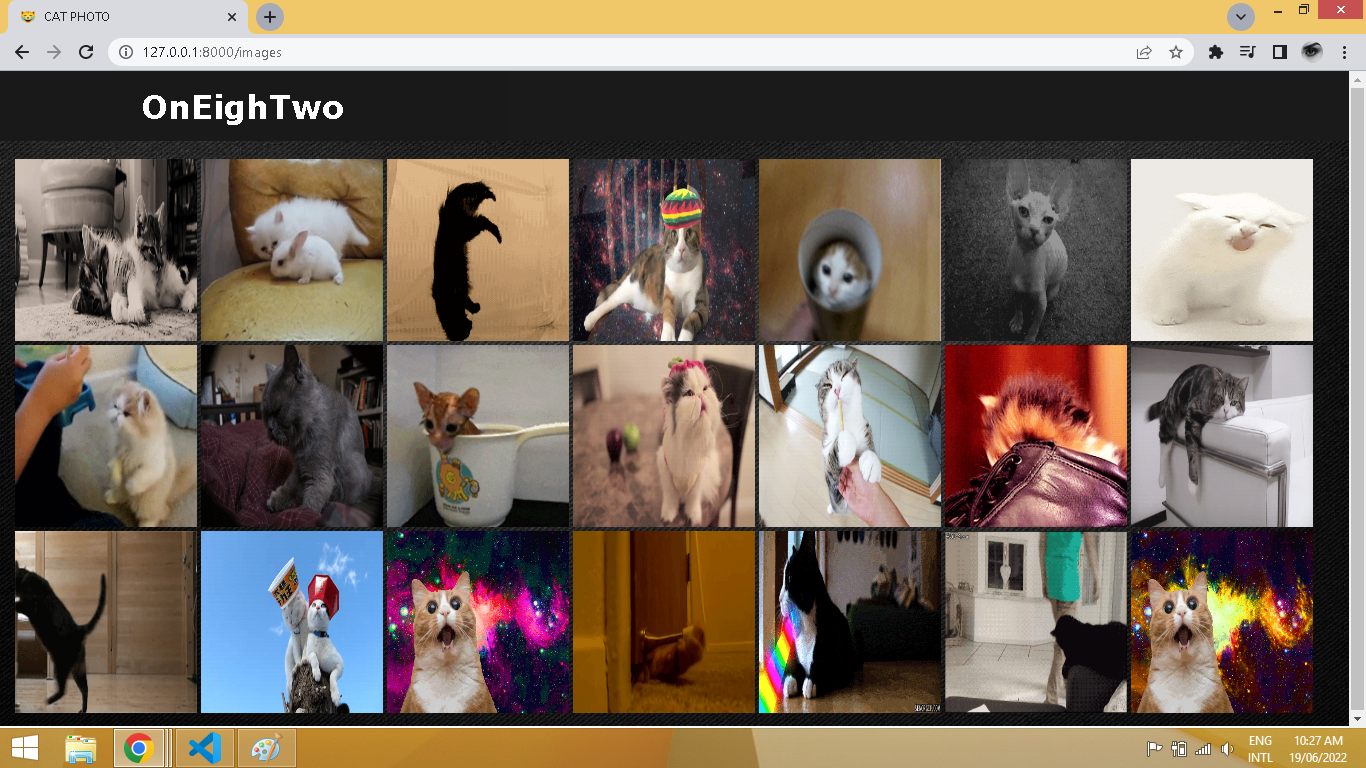 GitHub DNS182/celery_beat_catdownloader