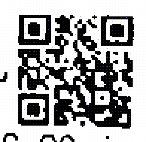 Barcodes that cannot be recognized · Issue #454 · zxing-cpp/zxing-cpp