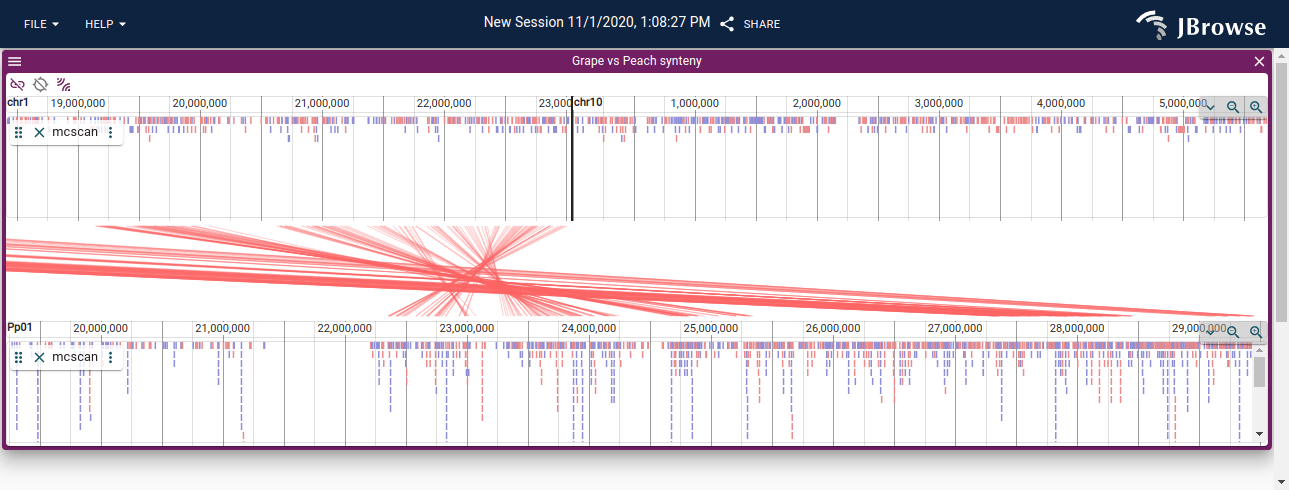 linear_synteny-5dde902959edcf331576b5c527ccda51