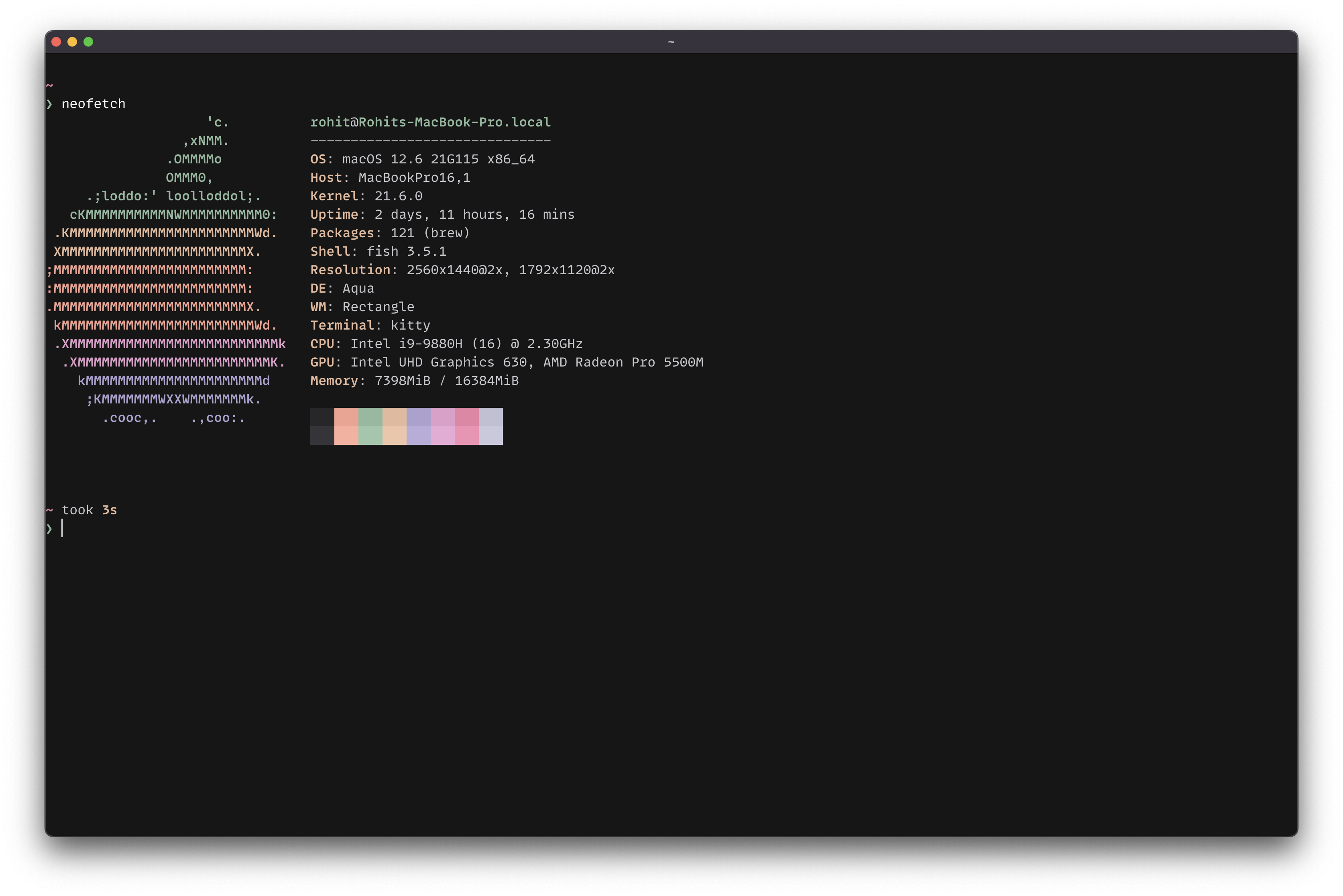 Screenshot of mellow theme terminal