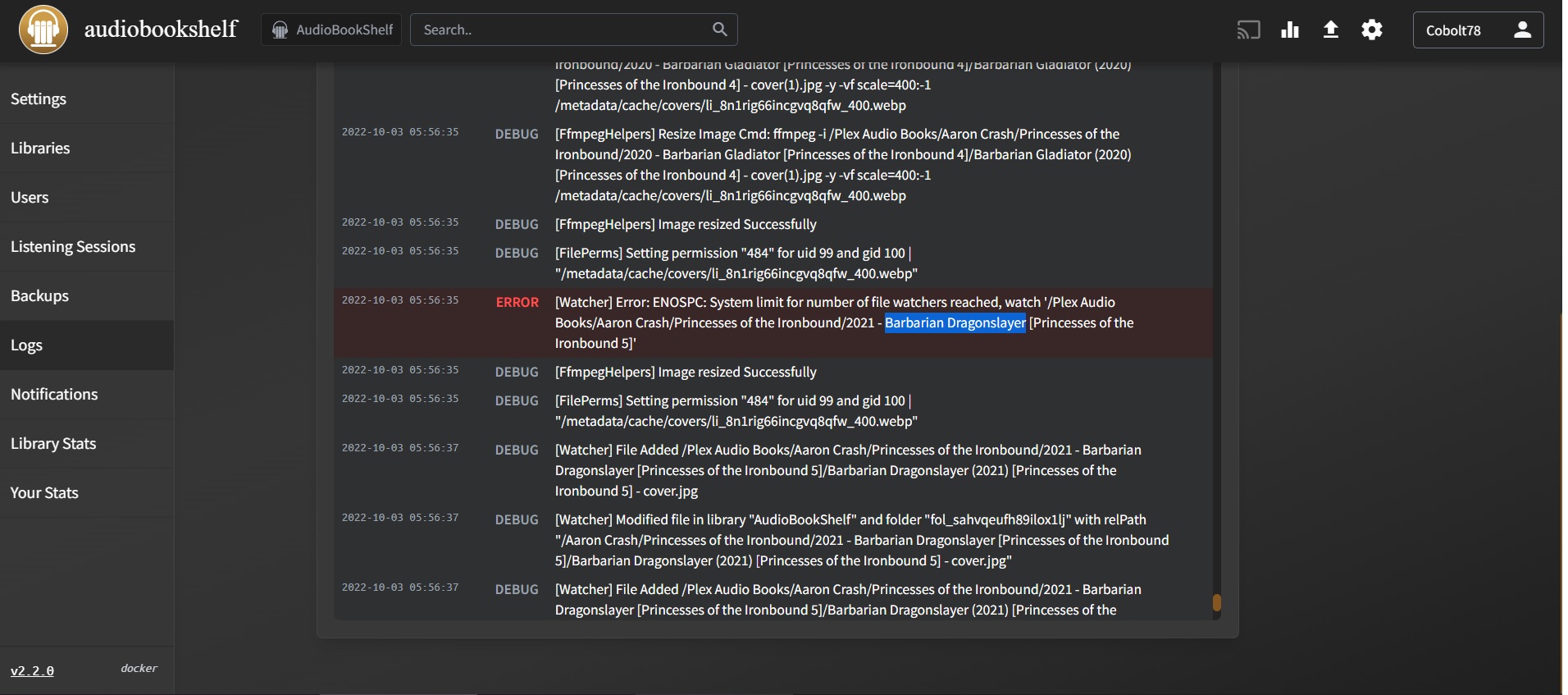 Barbarian Dragonslayer