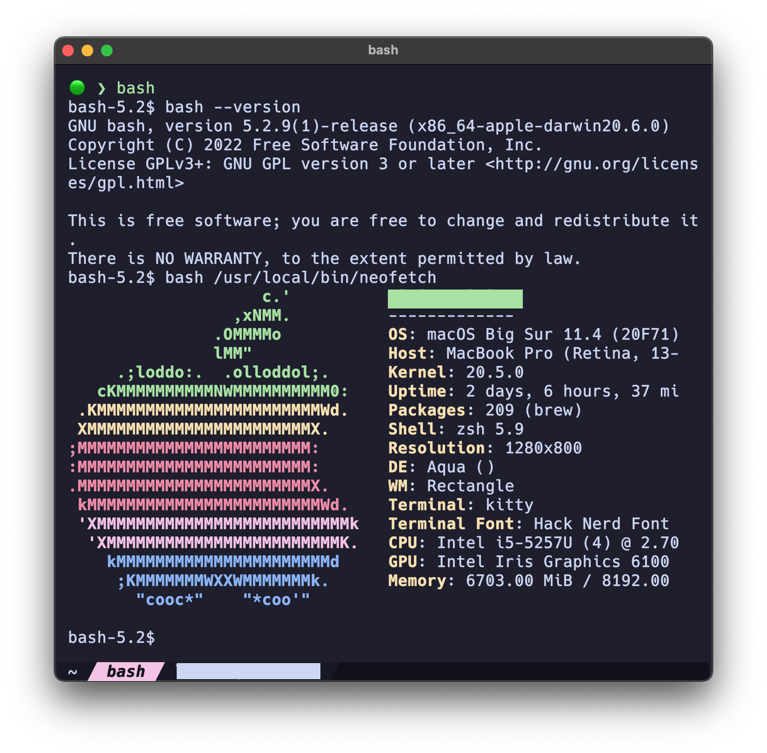Color Blocks Don't Get Printed on MacOS zsh 5.9/ bash 5.2.9 · Issue 50