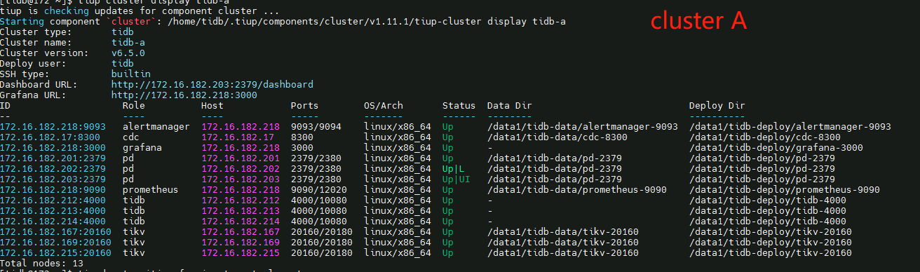 ticdc auto increment primary key value not bi-directional replication ...