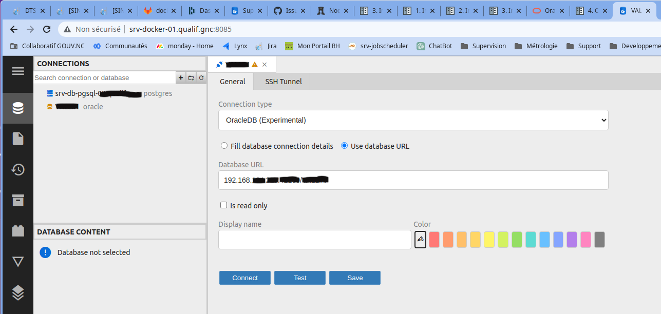 BUG Oracle driver doesn't work on Docker version 5.2.6 · Issue 576